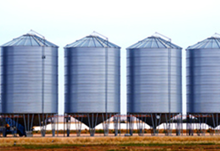 Grain and Oil Industry